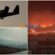 Il Pollino continua a bruciare, le fiamme del devastante incendio tra Castrovillari e Frascineto salgono verso le montagne - VIDEO 52 incendio-Pollino