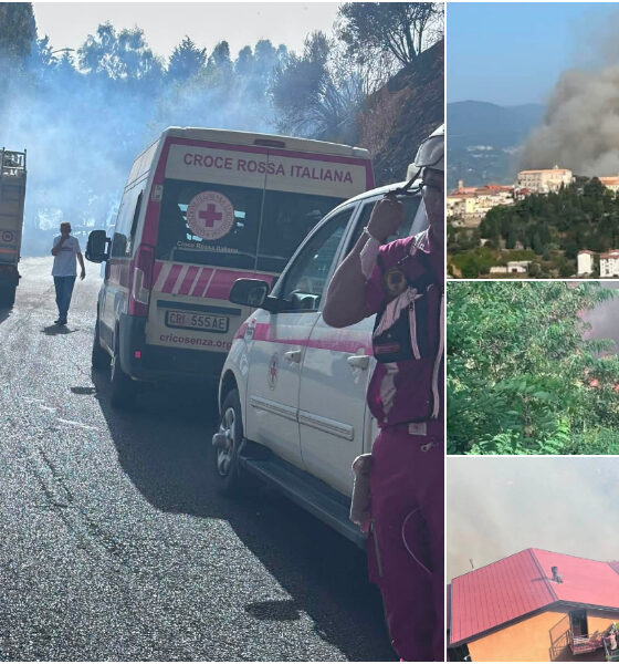 Inferno di fuoco a Rende, fiamme altissime e fumo: evacuate alcune case. Sul posto ProCiv e Croce rossa 56 Incendio a Rende