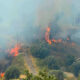 Rende, maxi incendio a Nogiano: la minoranza chiede un Consiglio comunale straordinario 53 Incendio a Rende fiamme