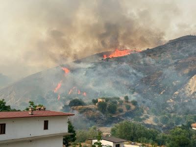 Incendi in Calabria innescati da menti 'criminali' con «gatti, liquido infiammabile e candele» - VIDEO 52 Incendio e fiamme Cassano Allionio