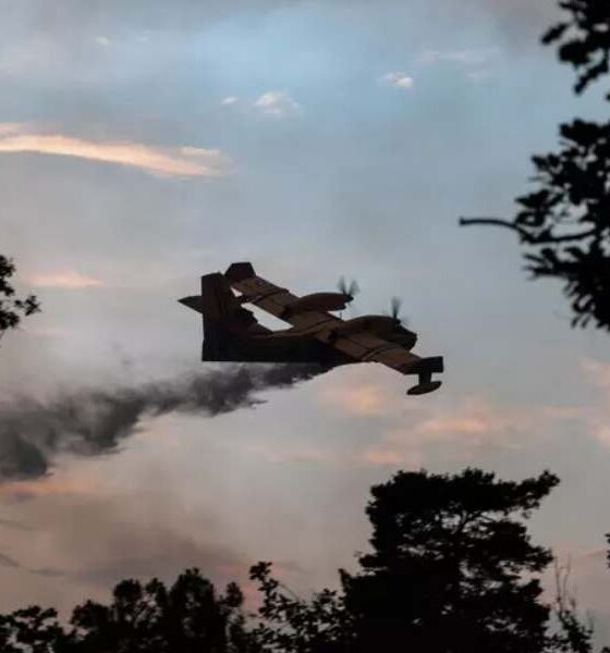 Incendio_Morano Calabro