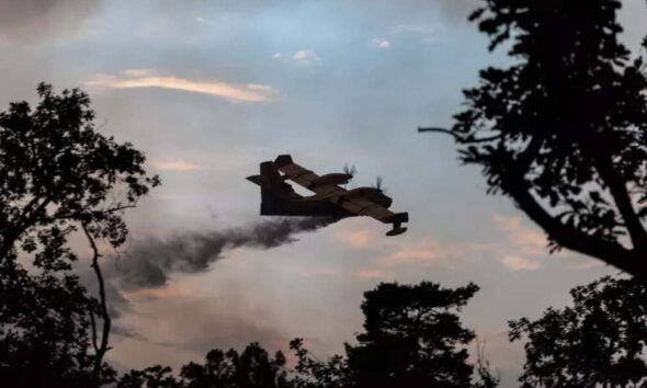 Incendio_Morano Calabro