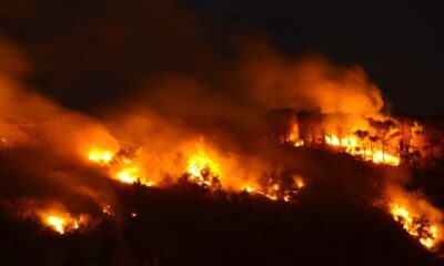 Incendio_Nogiano_Rende