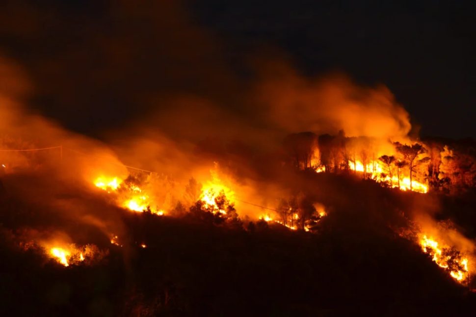 Dopo l'incendio a Nogiano, Legambiente: «Drammatico campanello d'allarme, serve prevenzione» 51 Incendio_Nogiano_Rende