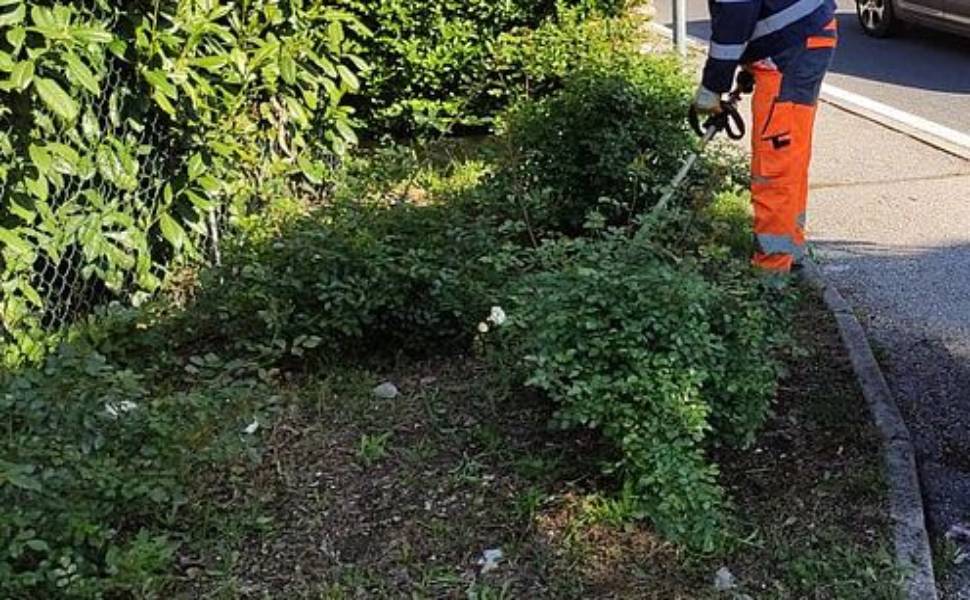 Rende accelera sulla pulizia del verde: proseguono gli interventi, previsti anche rattoppi stradali 52 Pulizia del verde - Rende 02