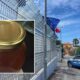 Il "miele dello sballo" arriva nel Cosentino: sequestrata la potentissima droga dagli effetti devastanti 54 Miele dello sballo_effetti_Cosentino