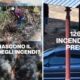 Occhiuto instagram video incendiari 04
