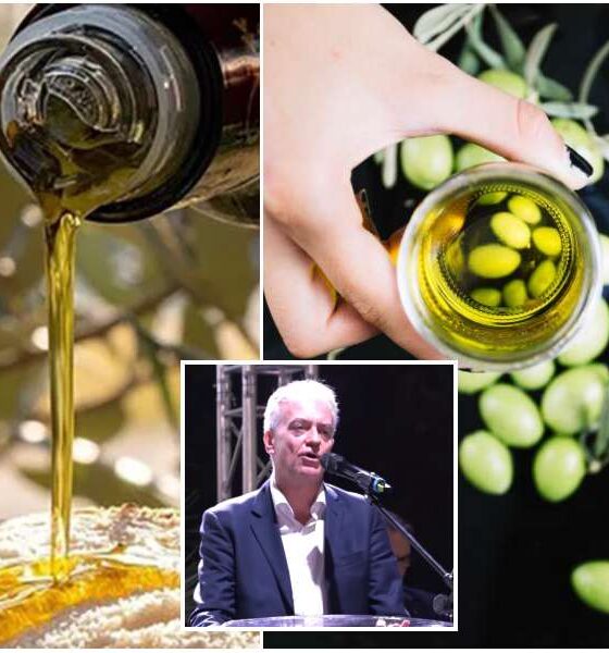 Olio calabrese in ginocchio, l'assessore Gallo rassicura i produttori: «Chiederemo lo stato di crisi» 56 Olio_crisi
