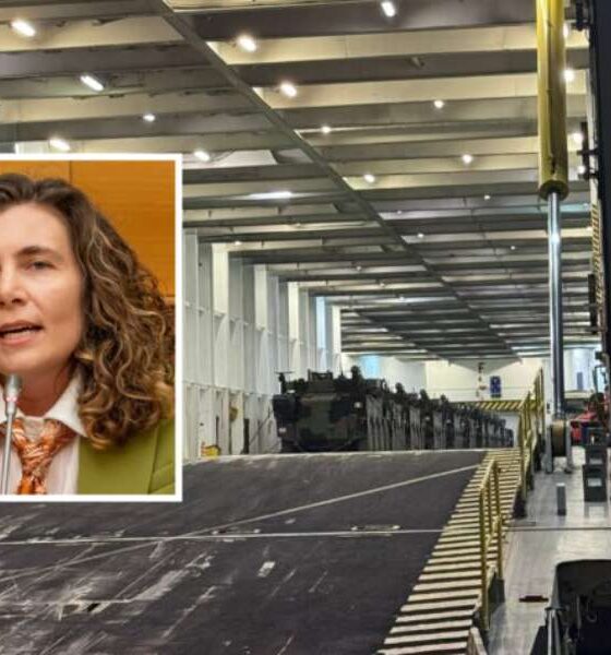 Orrico interrogazione armi crotone gioia tauro