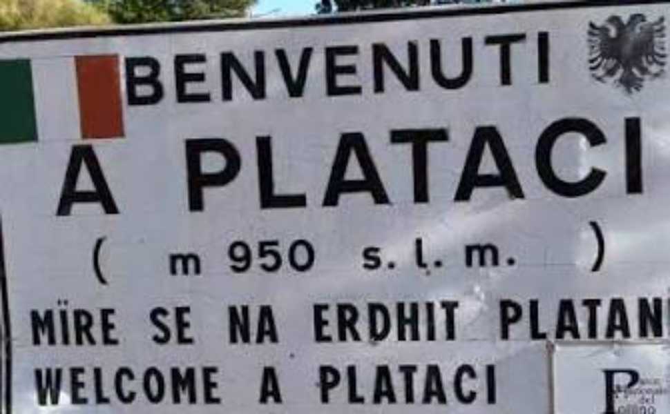 Plataci 01