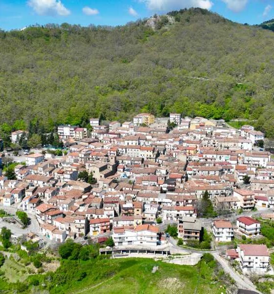 Plataci