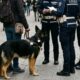Polizia locale rende randagismo controlli