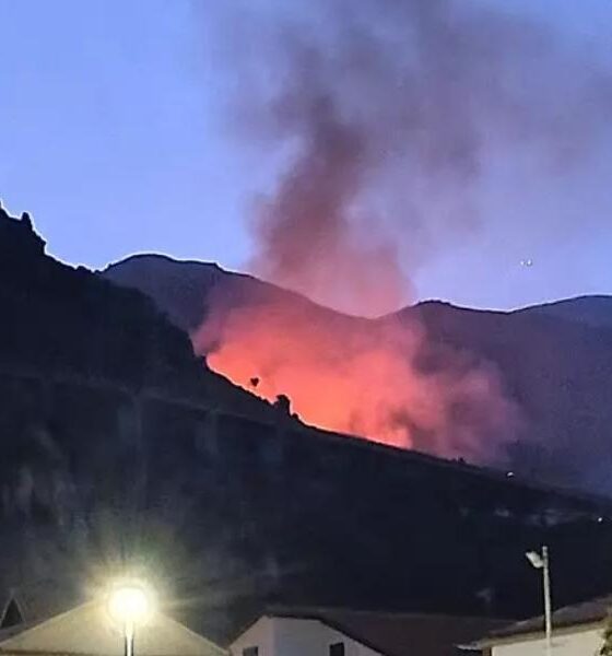 Praia a Mare_incendio_Monte Vingiolo