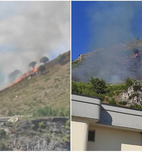 Praia a Mare, vasto incendio minaccia la Statale 18. Vigili del Fuoco in azione 56 Praia a Mare_incendio_Statate 18