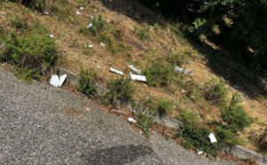La vergogna dell'estate: lo sfregio di rifiuti e discariche a cielo aperto, dalla 107 alla Crocetta 57 Rifiuti discariche vecchia strada Crocetta 02
