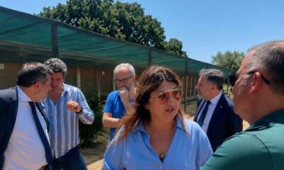 randagismo_canili