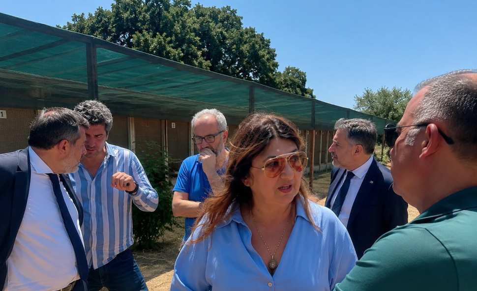 randagismo_canili