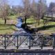 canale Emoli_inquinamento
