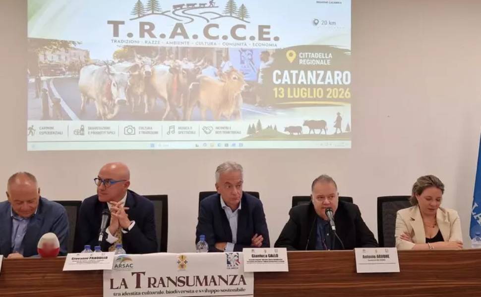 La Calabria rilancia la transumanza come motore di sviluppo sostenibile: 16mila bovini e 450 aziende 53 Transumanza Calabria