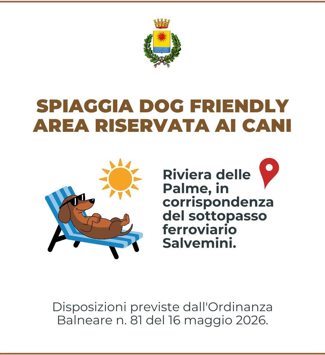 Trebisacce, apre la spiaggia "dog friendly": un'area riservata ai cani e ai loro proprietari 52 Trebisacce spiaggia riservata ai cani