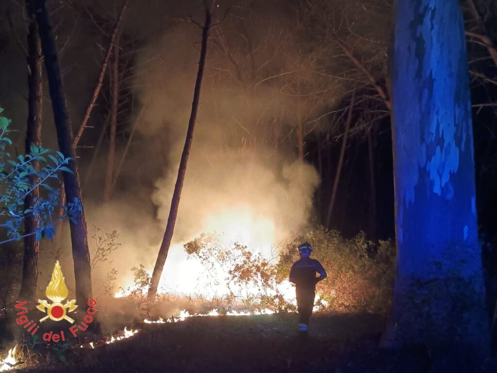 Inferno di fuoco, le fiamme devastano ettari di pineta: maxi intervento dei vigili del fuoco 52 WhatsApp Image 2026 07 19 at 14.34.59 1