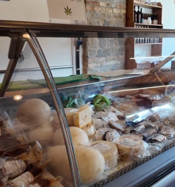 Export Calabria, Aiello: "le imprese alimentari sono sempre più competitive sui mercati esteri"