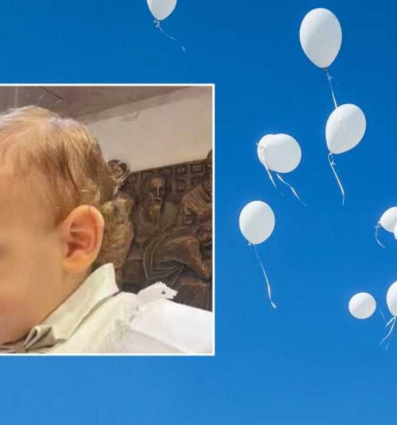 Lacrime e palloncini bianchi per l'ultimo saluto ad Alessio Pio. La mamma stringe il leoncino con cui giocava 56 alessio pio funerali palloncini bianchi
