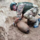 Neutralizzata una bomba da 113 chili della Seconda guerra mondiale nascosta nel terreno 55 bomba-seconda-guerra-mondiale-laureana-di-borrello