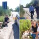 Cagnolina soccorsa sulla Statale 107: l'intervento "umano" della Polizia Stradale e di tanti volontari 51 cagnolina 107 cerenzia 01