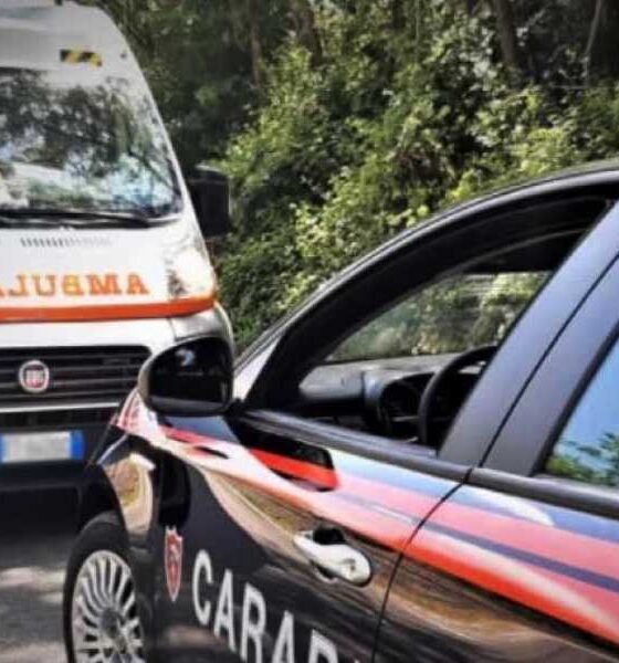 Grave incidente sull'A2: bambino di 7 anni sbalzato dall'auto, ricoverato in prognosi riservata 56 carabinieri 118 - bambino A2