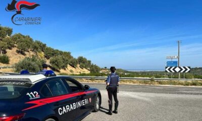 piante cannabis carabinieri cosenza corigliano rossano