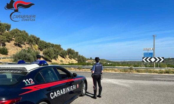 piante cannabis carabinieri cosenza corigliano rossano