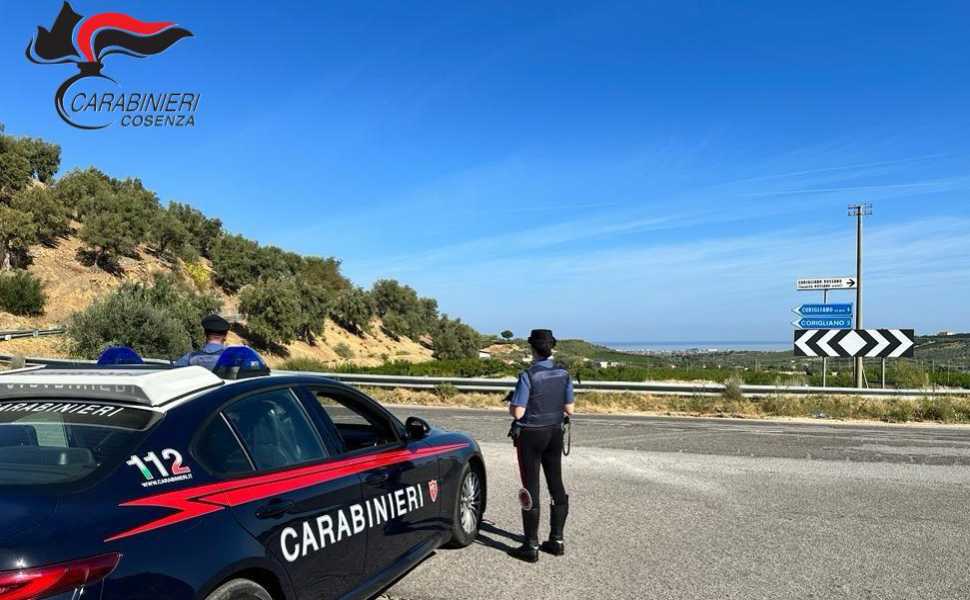piante cannabis carabinieri cosenza corigliano rossano