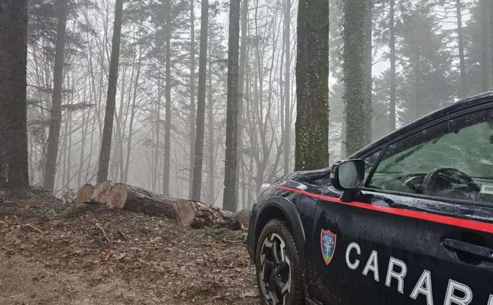 carabinieri cotronei quad villaggio palumbo
