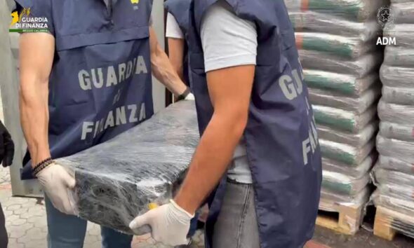 cocaina porto gioia tauro pellet 01
