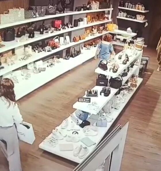 Cosenza: ruba due borse in un negozio di corso Mazzini. Le telecamere riprendono il presunto ladro 56 Cosenza: ruba due borse in un negozio di corso Mazzini. Le telecamere riprendono il presunto ladronegozio di corso Mazzini. Le telecamere riprendono il presunto ladro