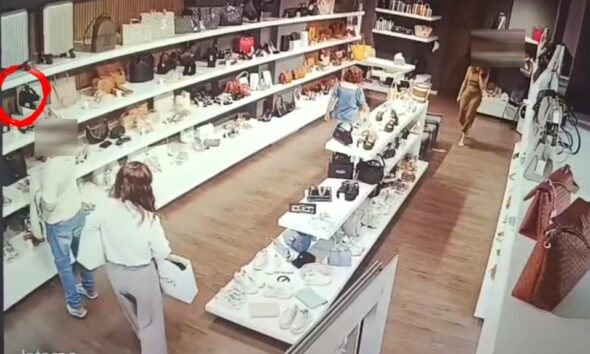 Cosenza: ruba due borse in un negozio di corso Mazzini. Le telecamere riprendono il presunto ladronegozio di corso Mazzini. Le telecamere riprendono il presunto ladro