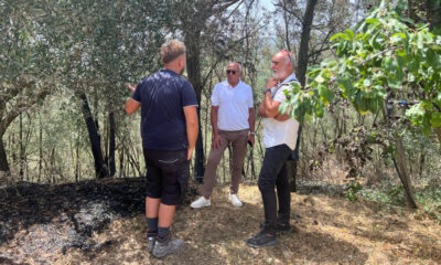cosenza-incendio-cozzo-del-monaco-caruso