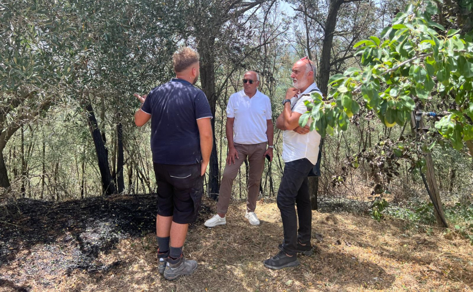 Incendio a Cosenza, paura a Cozzo del Monaco: il sindaco Caruso visita le famiglie colpite dal rogo 51 cosenza-incendio-cozzo-del-monaco-caruso