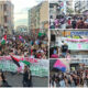 Cosenza Natru Pride