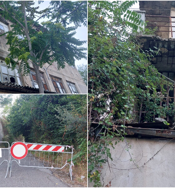 cosenza-villaggio-del-fanciullo-appello-bresciani