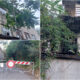 cosenza-villaggio-del-fanciullo-appello-bresciani