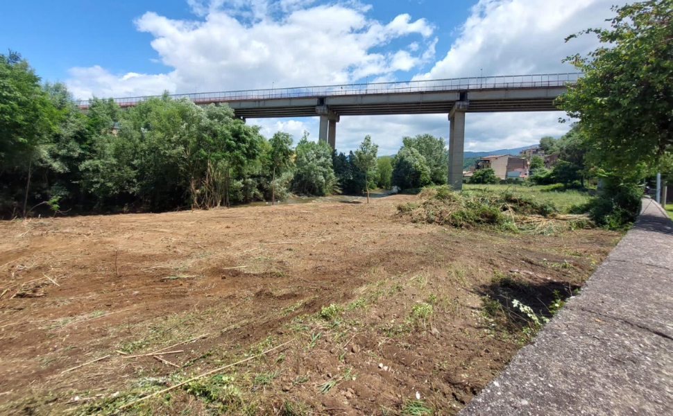 Pulizia dei fiumi di Crati e Busento, il Comune di Cosenza sollecita Regione e Calabria Verde 52 fiumi cosenza pulizia 03