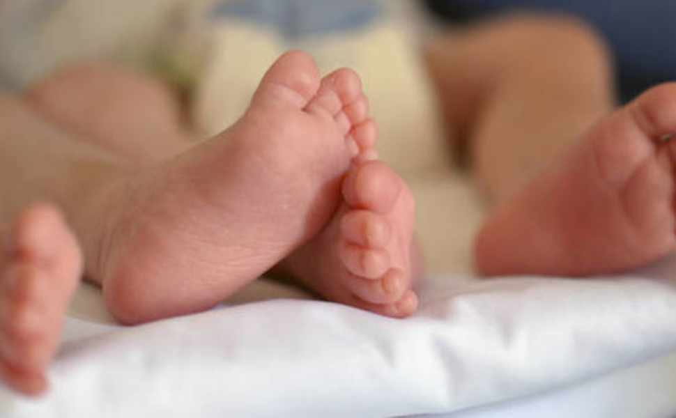 All'Annunziata il doppio "miracolo della vita": salvati 2 gemelli con una rara patologia 51 gemelli_Annunziata