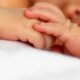 All'Annunziata il "doppio miracolo della vita": dimessi i 2 gemelli salvati dopo l'intervento in utero 55 gemelli_Annunziata