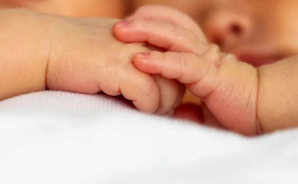 All'Annunziata il doppio "miracolo della vita": salvati 2 gemelli con una rara patologia 52 gemelli cosenza