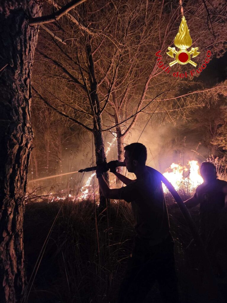 Calabria nella morsa degli incendi: in 36 ore oltre 200 interventi dei Vigili del fuoco 53 incendi calabria 2