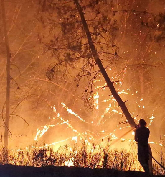 Calabria nella morsa degli incendi: in 36 ore oltre 200 interventi dei Vigili del fuoco 56 incendi calabria interventi