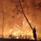 Calabria nella morsa degli incendi: in 36 ore oltre 200 interventi dei Vigili del fuoco 64 incendi calabria interventi