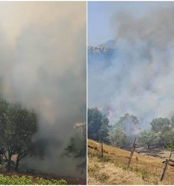 incendi-cosenza-calabria-fiamme-fuoco-boschi